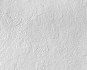 st-one textura mushroom